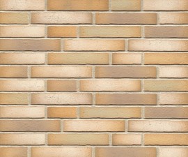 "Feldhaus Klinker" klinkerinės plytelės R916